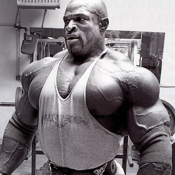 Second Steroid Cycle - Lean Gains and Cutting