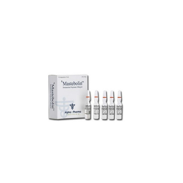 Mastebolin amp.